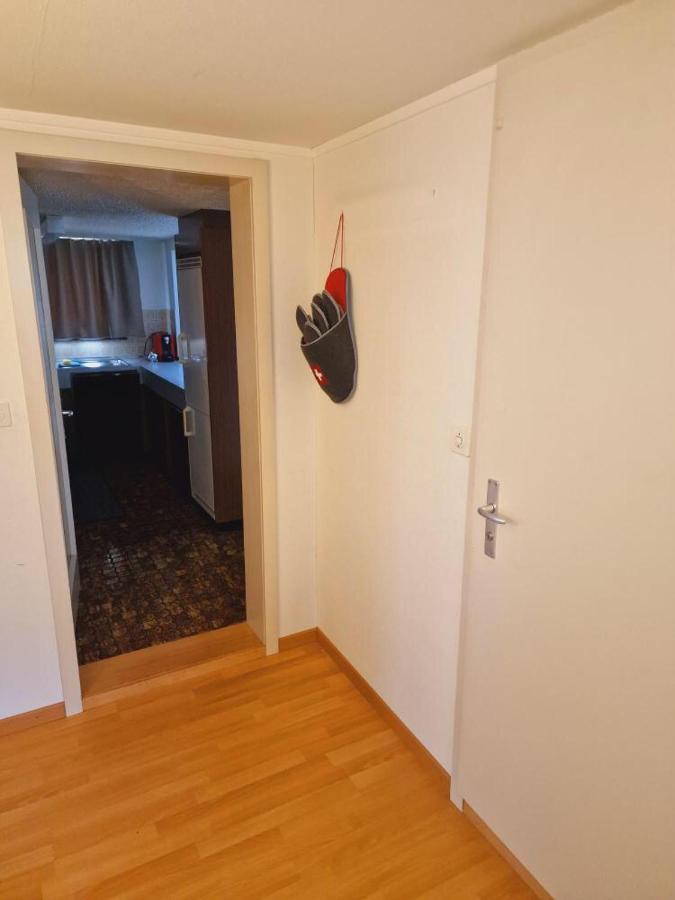 Apartament Sehr Ruhiger Ort Ebnat-Kappel Zewnętrze zdjęcie